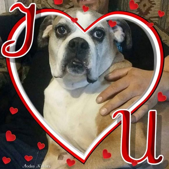 Meet your Posher, Joseph - Picture 1 of 1